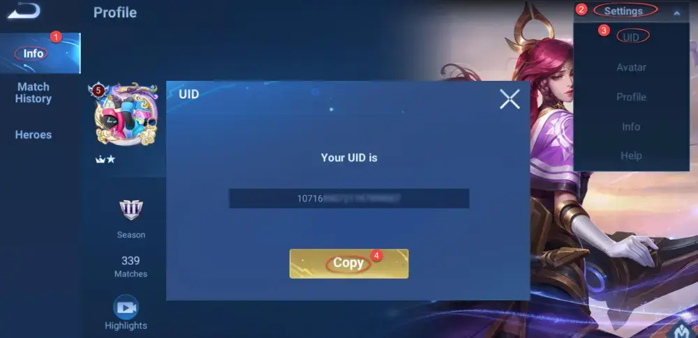 How to Find HOK Player ID